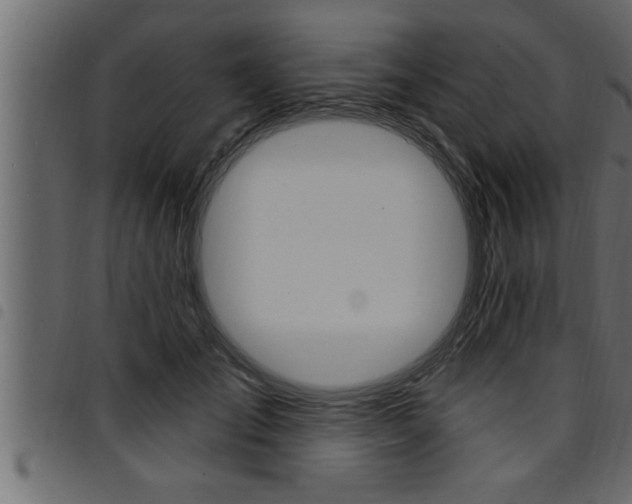 X0000094920701200711291023