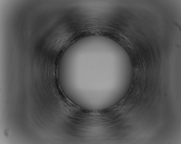 X0000094920702200711291022