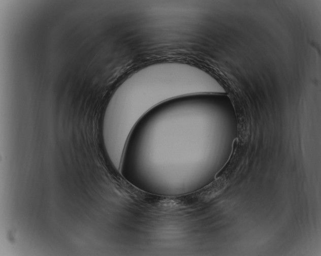 X0000094920704200711291022