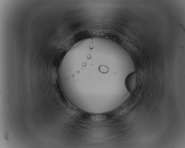 X0000094920707200711291022