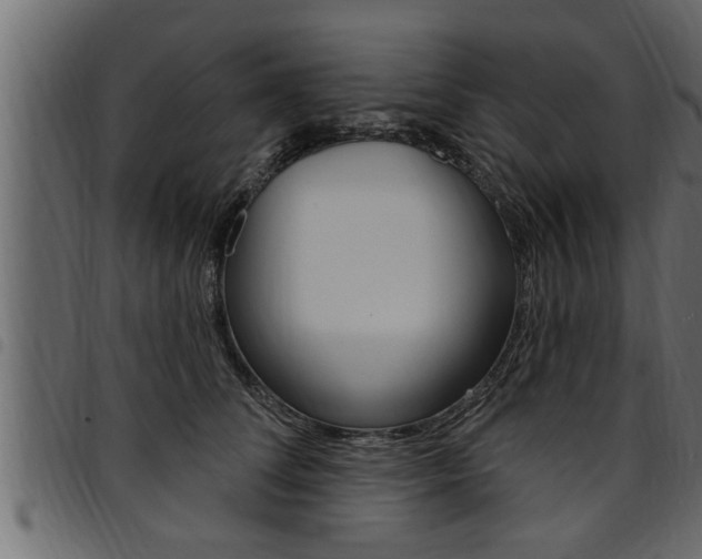 X0000094920708200711291022