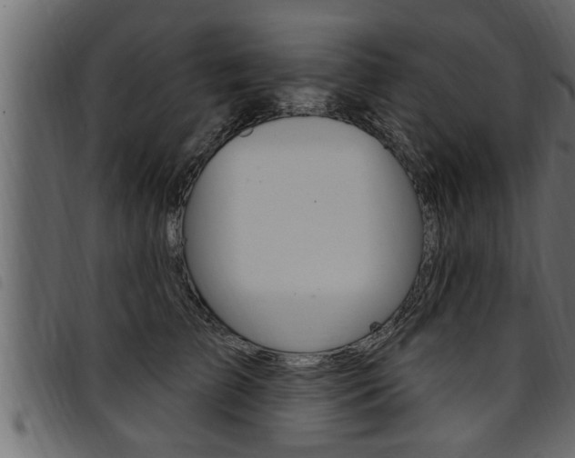 X0000094920709200711291022