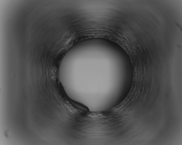 X0000094920712200711291022