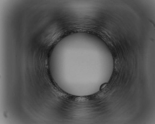 X0000094920714200711291022