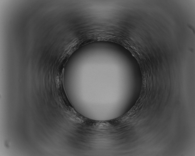 X0000094920716200711291022