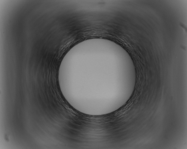 X0000094920720200711291022