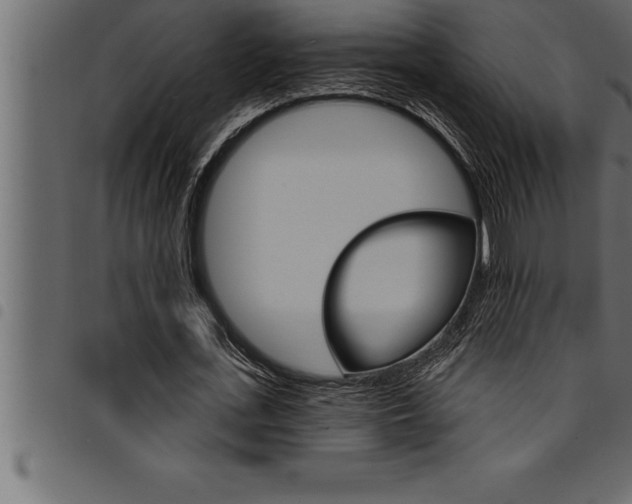 X0000094920723200711291022