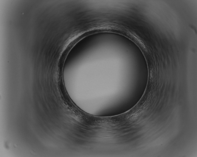 X0000094920724200711291022