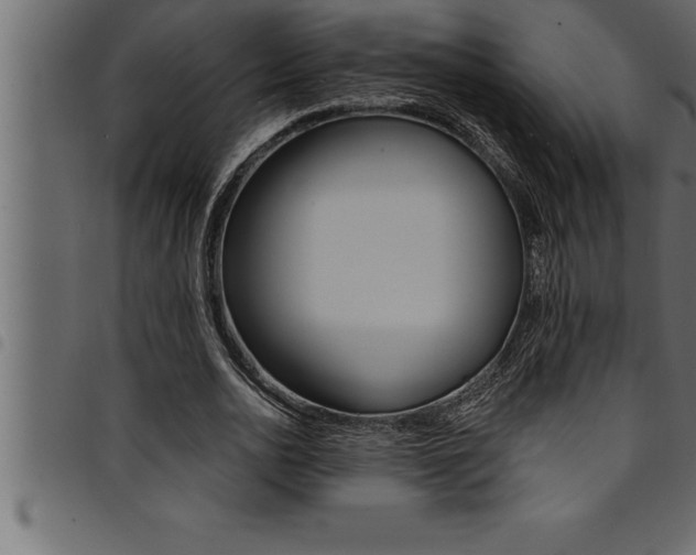X0000094920726200711291022