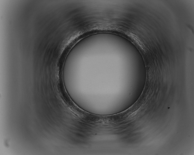 X0000094920727200711291022