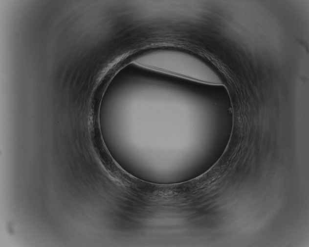 X0000094920728200711291022