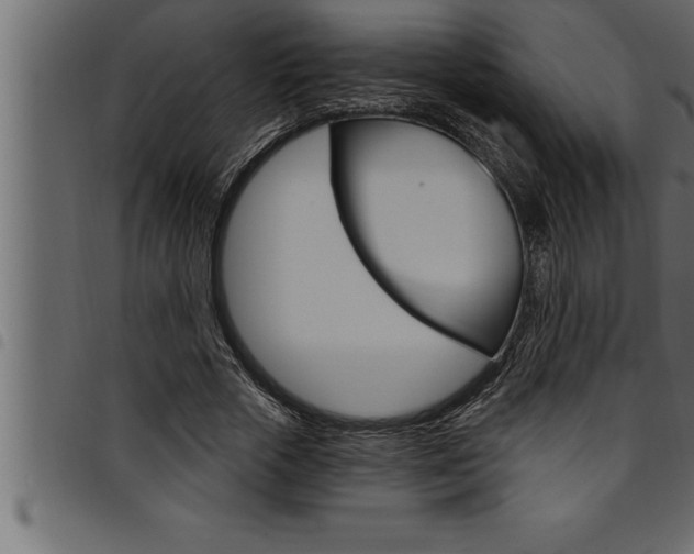 X0000094920729200711291022