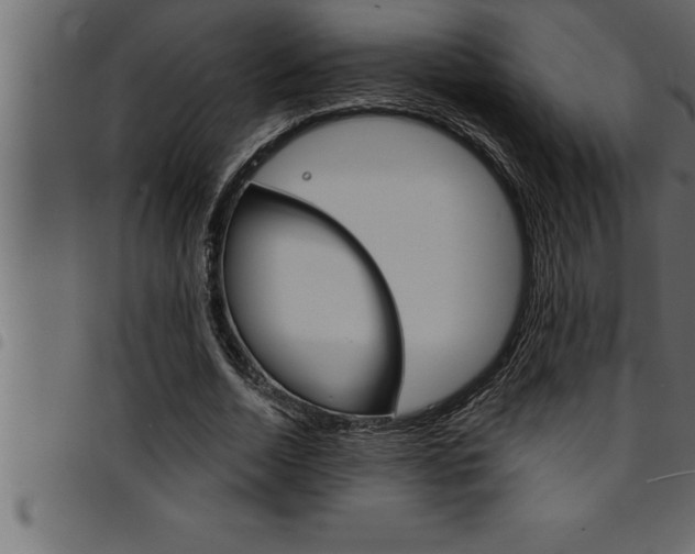 X0000094920730200711291022