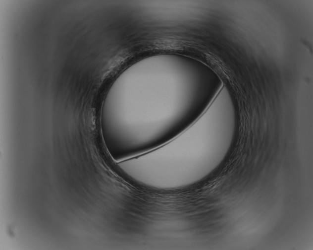 X0000094920731200711291022