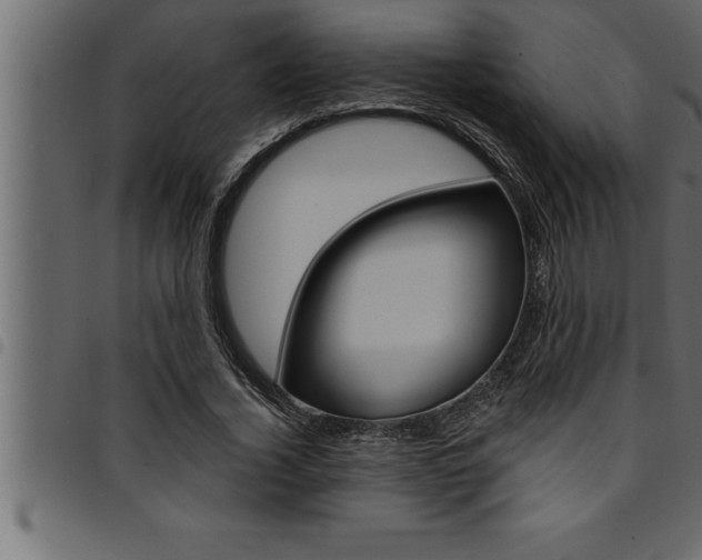 X0000094920732200711291022