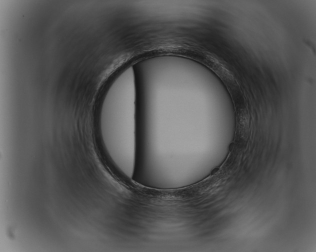 X0000094920734200711291022