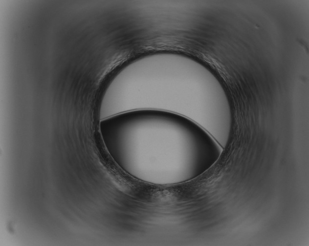 X0000094920735200711291022