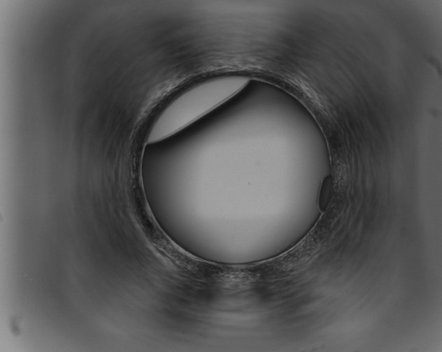X0000094920736200711291022