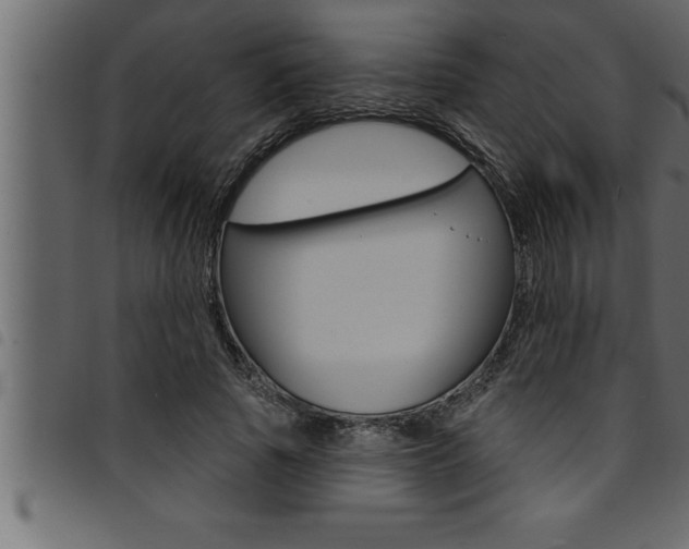 X0000094920737200711291022