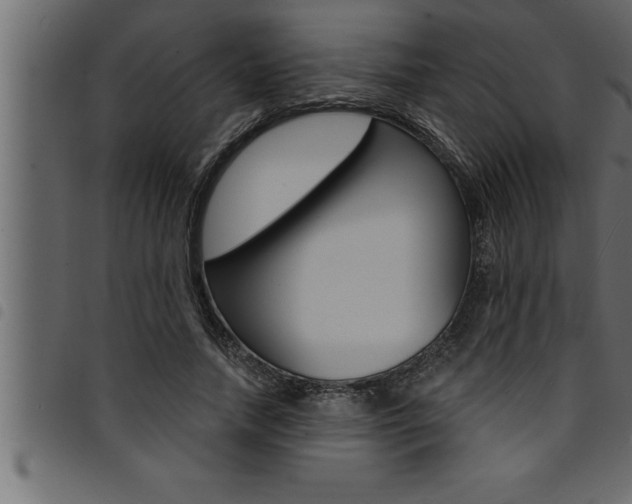 X0000094920738200711291022