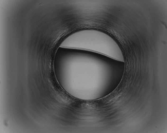 X0000094920739200711291022