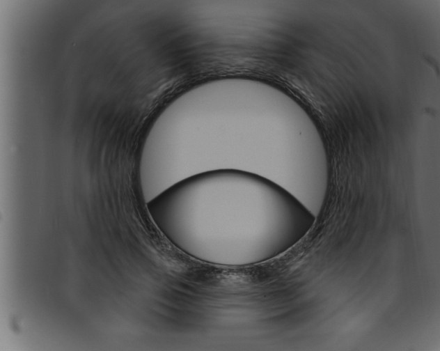 X0000094920741200711291022