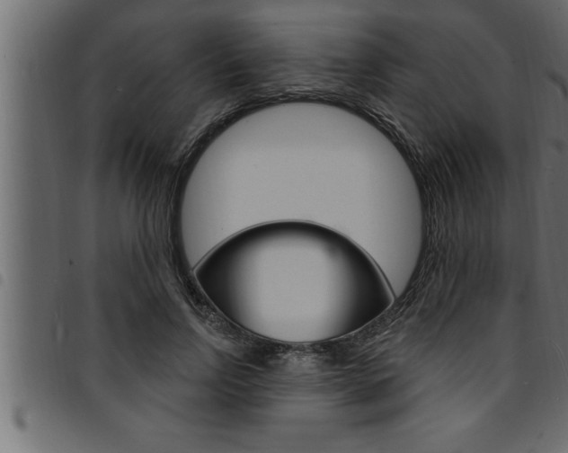 X0000094920742200711291022