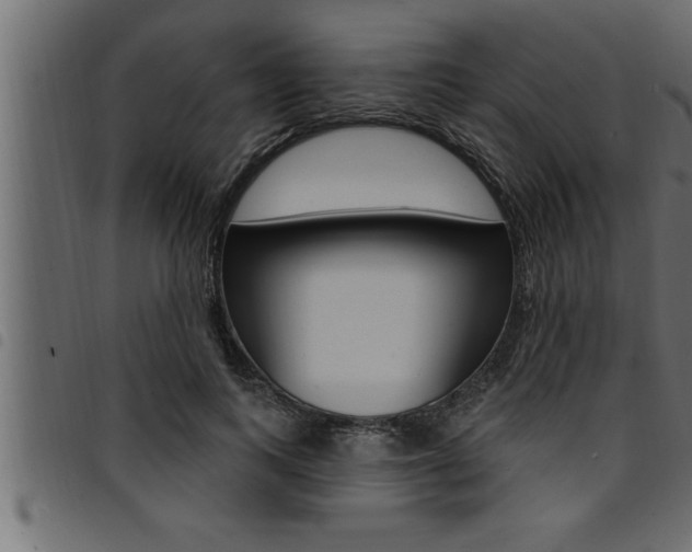 X0000094920743200711291022