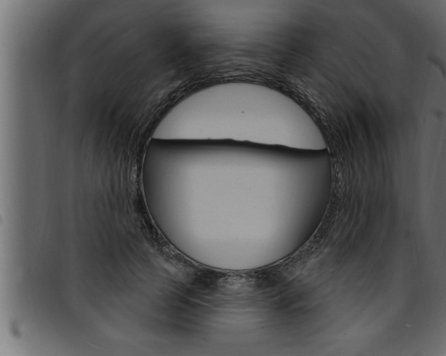 X0000094920745200711291022