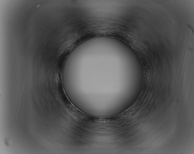 X0000094920746200711291022