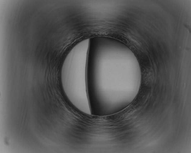 X0000094920747200711291022