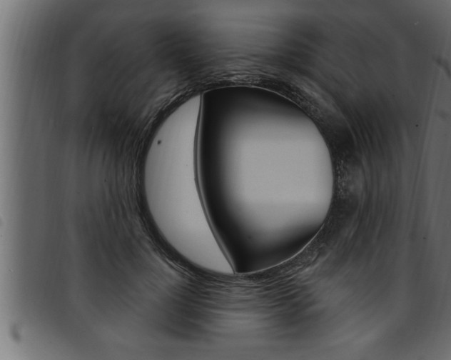 X0000094920748200711291022