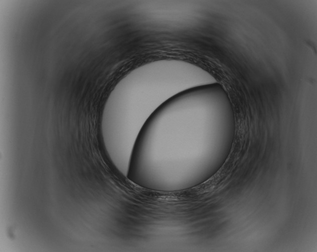 X0000094920749200711291022