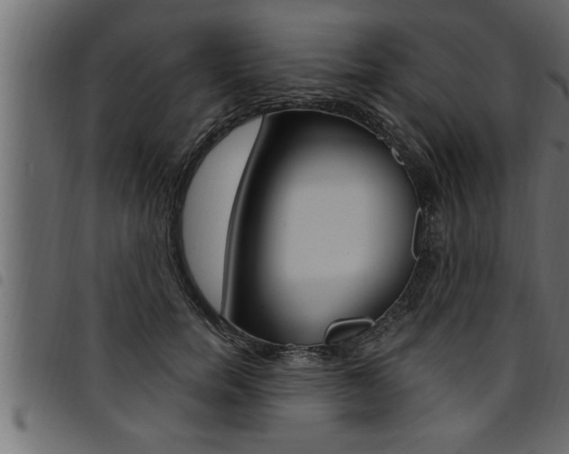 X0000094920750200711291022