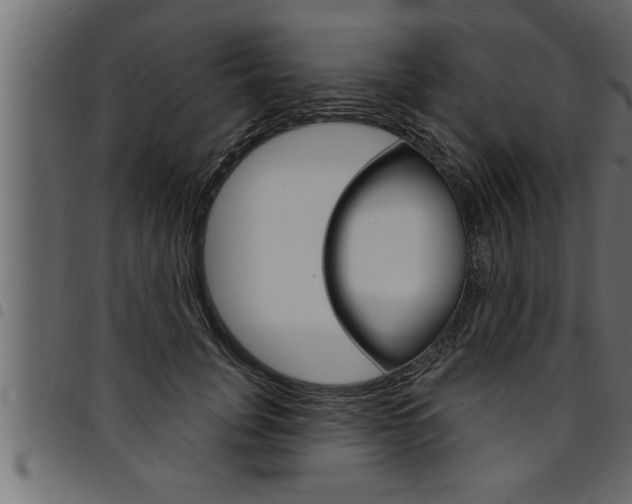 X0000094920751200711291022