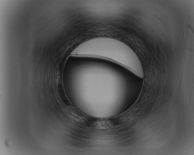 X0000094920752200711291022
