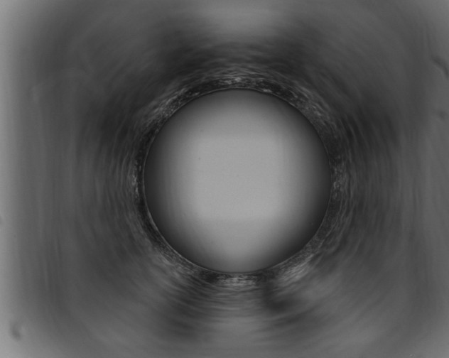 X0000094920754200711291022