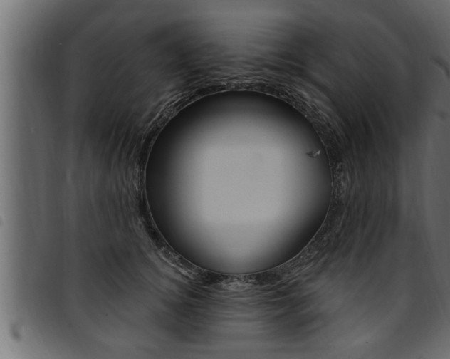 X0000094920756200711291022