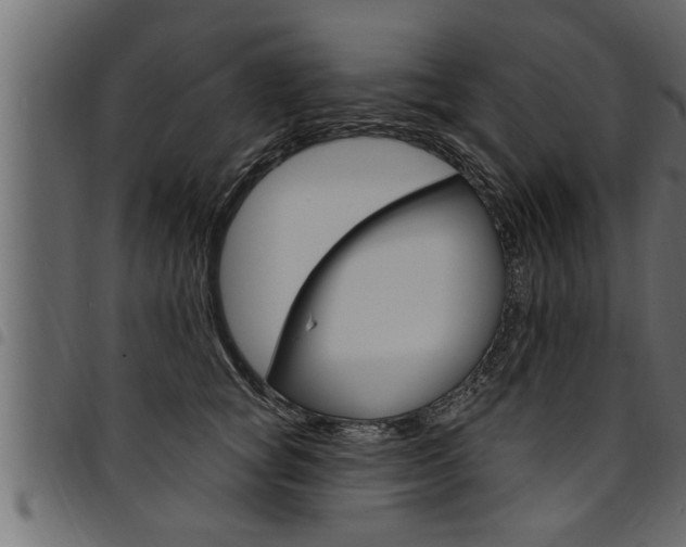X0000094920757200711291022