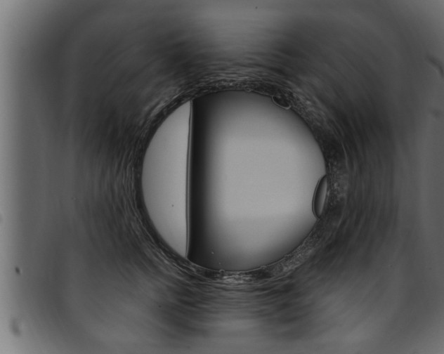 X0000094920758200711291022
