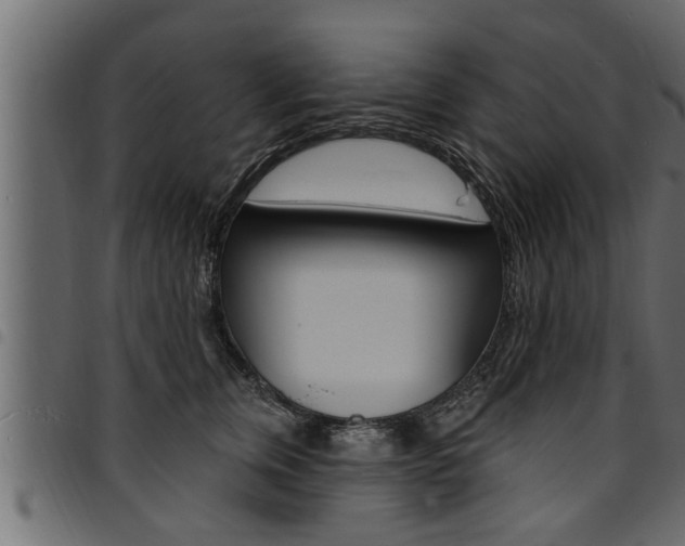 X0000094920759200711291022