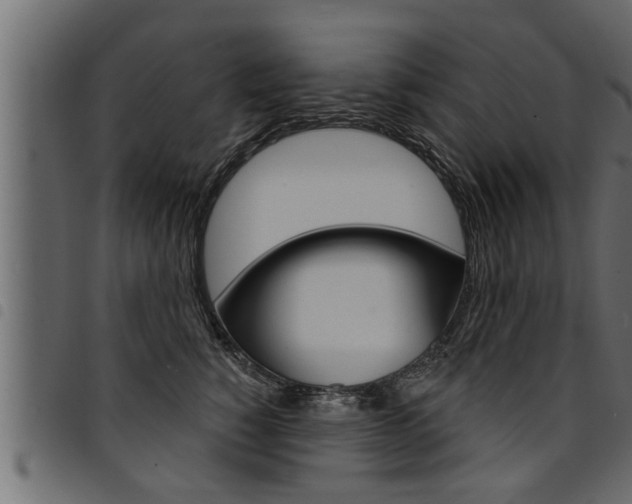 X0000094920760200711291022
