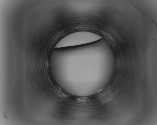 X0000094920761200711291022