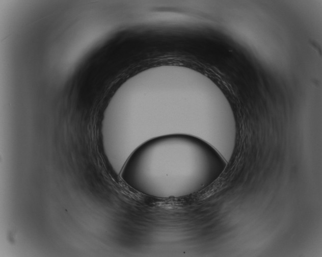 X0000094920763200711291022