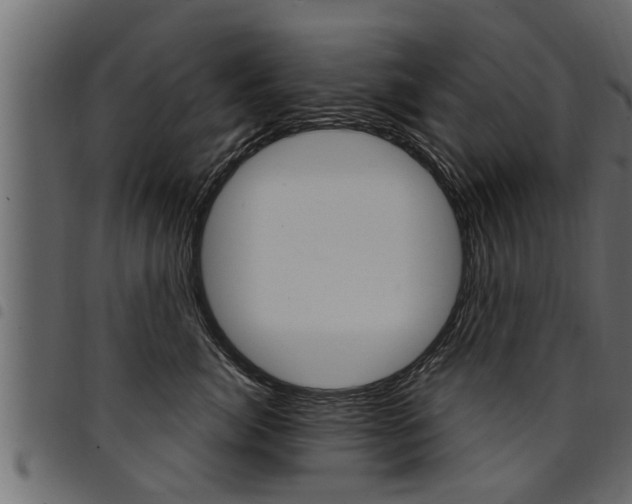 X0000094920764200711291022