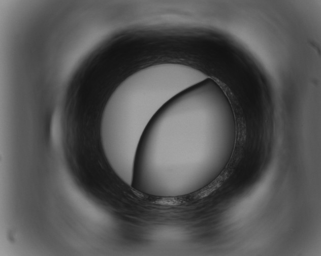 X0000094920765200711291022