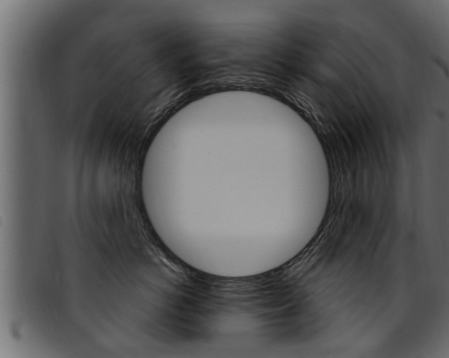 X0000094920766200711291022