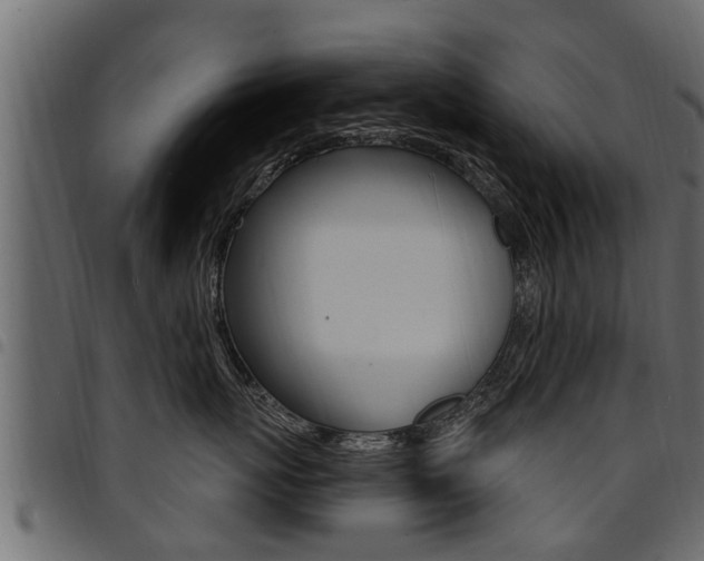 X0000094920767200711291022