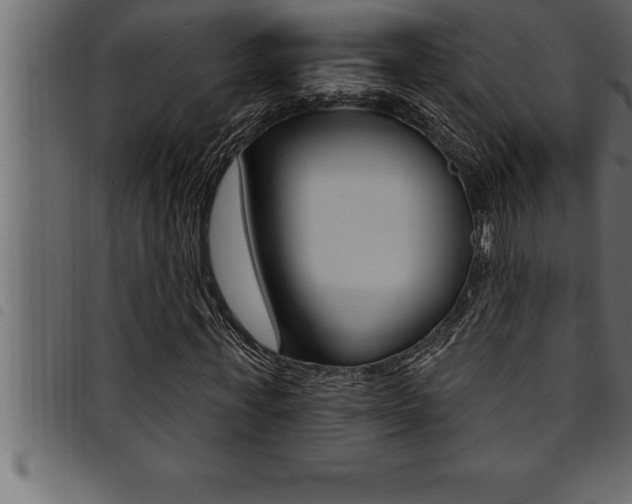 X0000094920771200711291022
