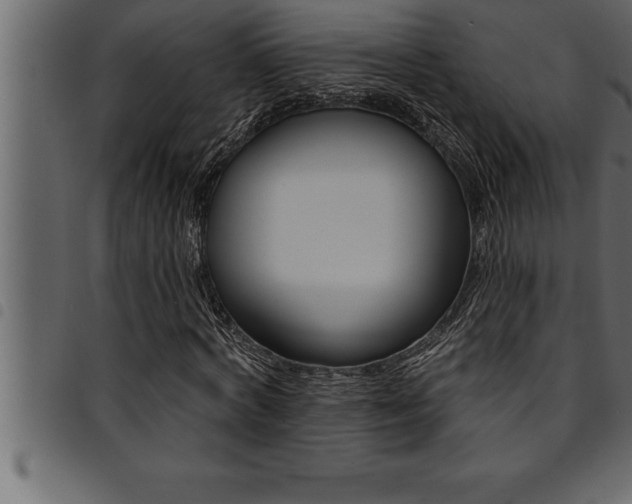 X0000094920772200711291022